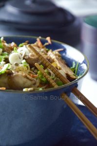 vermicelles-loungkou-salade-poulet-sésame