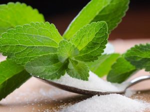 stevia en feuille et poudre